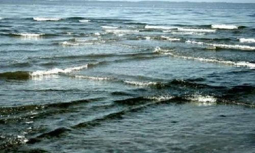 الأمواج المقوسة ظاهرة تحير العلماء