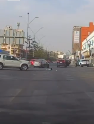 ���� ����� ������ ����� ������