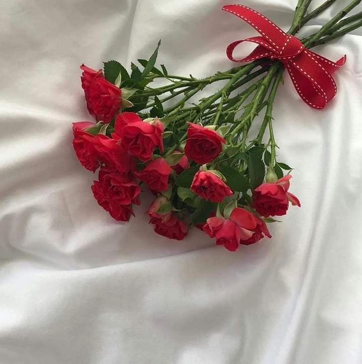 ���� ���� ���� �����