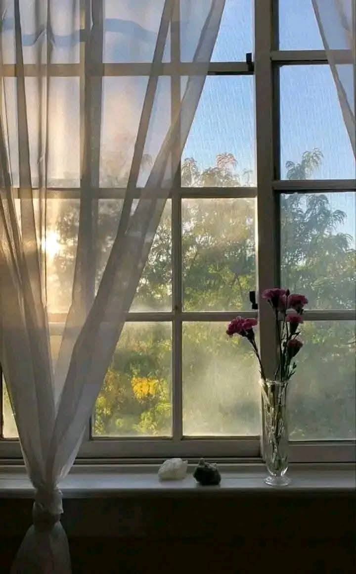 ����� ������ ������� ������� �������