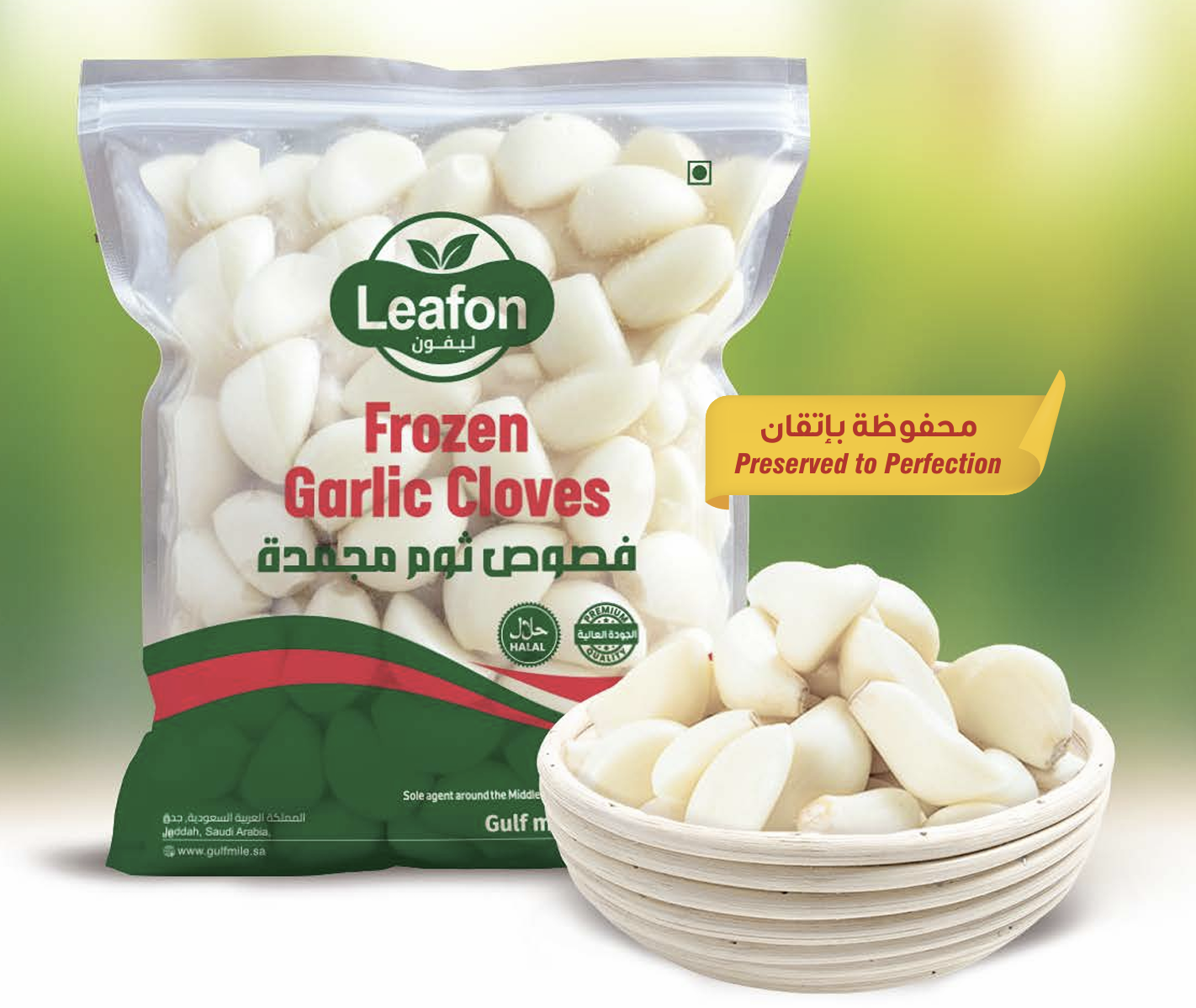 Garlic