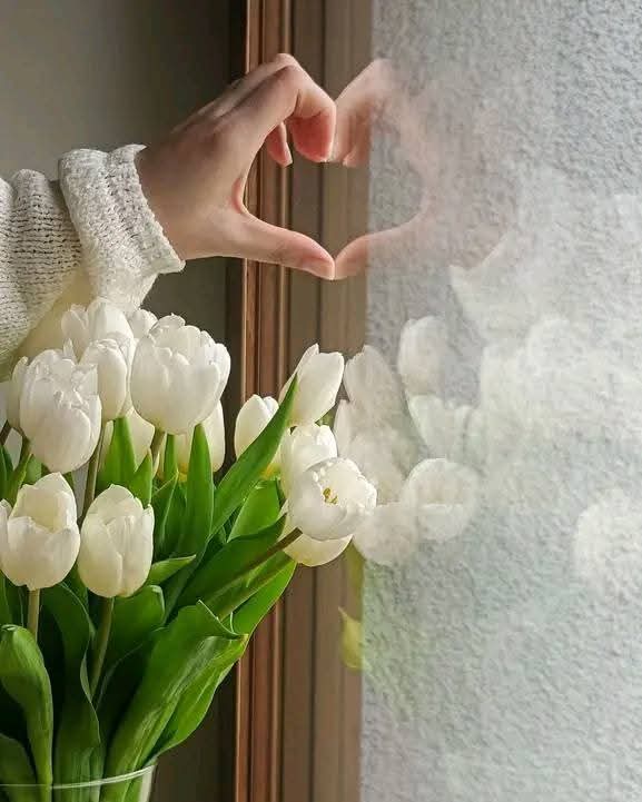 ������� ����� ���� ����� ������🌿💚