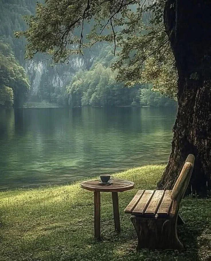 ������� ����� ���� ����� ������🌿💚