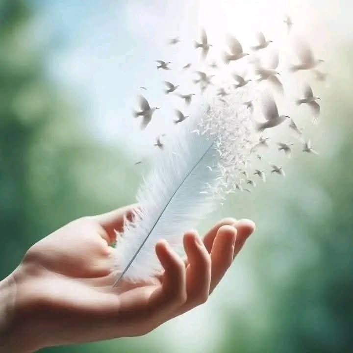 ������� ����� ���� ����� ������🌿💚