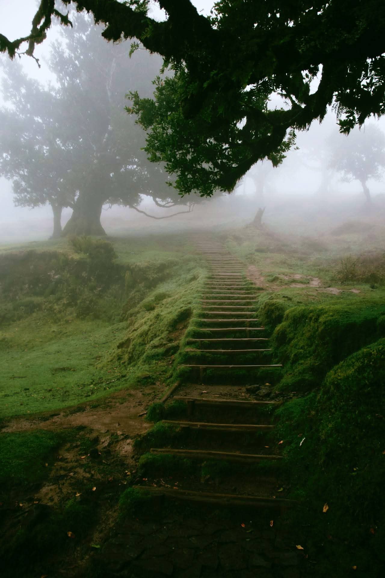 ������� ����� ���� ����� ������🌿💚