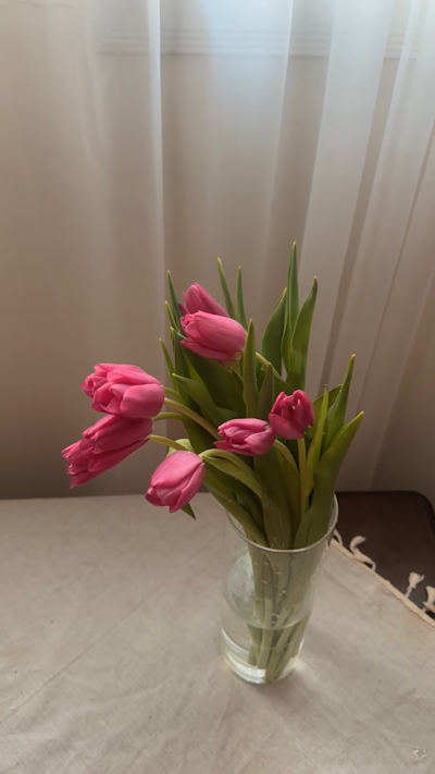 ����� ���� ������ ������� ������